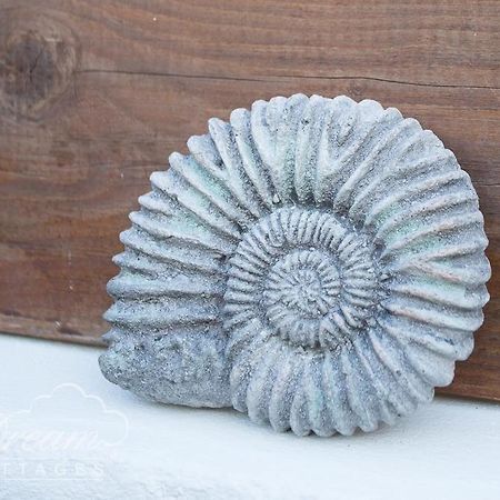 Ammonite Cottage بورتلاند المظهر الخارجي الصورة