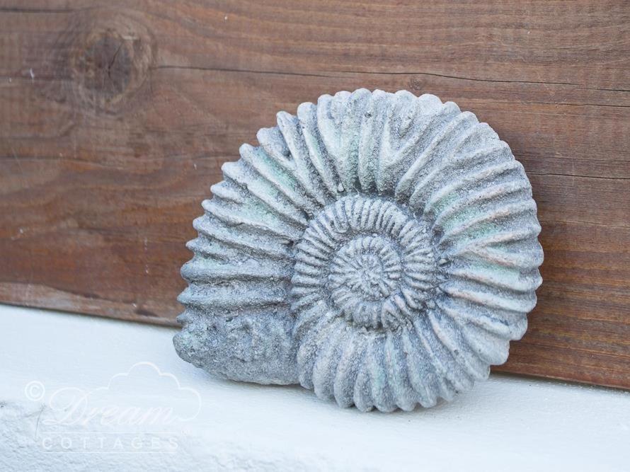 Ammonite Cottage بورتلاند المظهر الخارجي الصورة