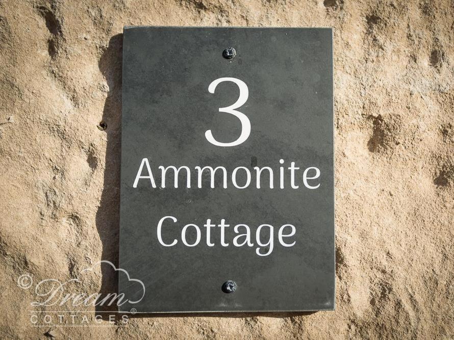 Ammonite Cottage بورتلاند المظهر الخارجي الصورة